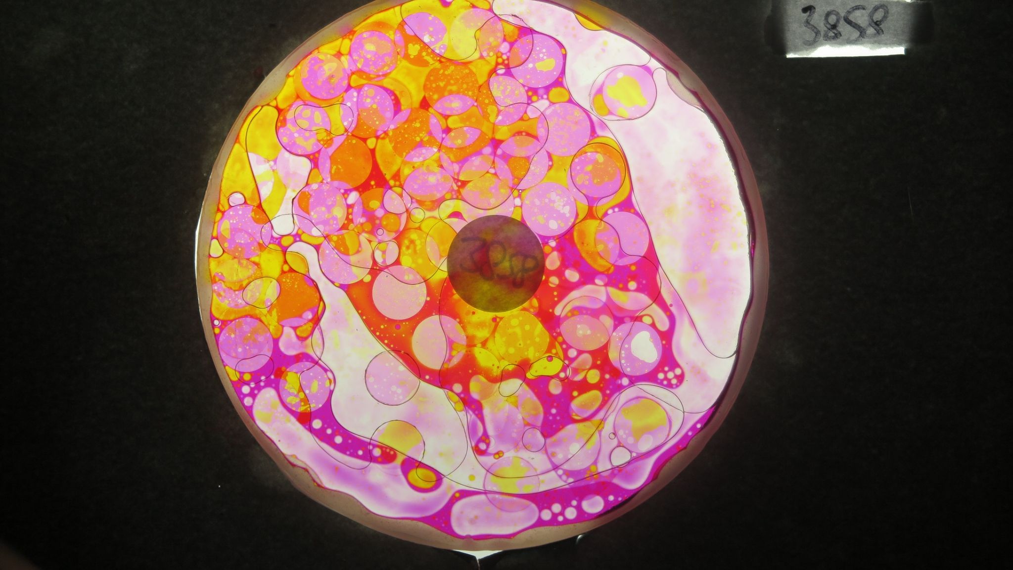 BV3858 bubble vision oil wheel